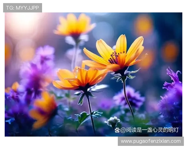 爱在，岁月温柔，时光静好