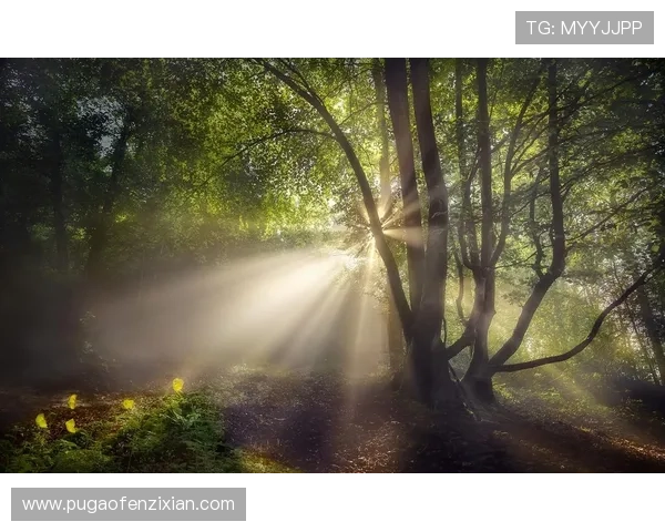 梅丽莎切瑞:唤醒内心的绿野仙踪,拥抱自然馈赠的精致生活 梅丽莎切瑞:唤醒内心的绿野仙踪,拥抱自然馈赠的精致生活