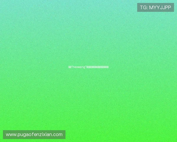 探寻“haowang”的无限可能：连接世界，点亮未来